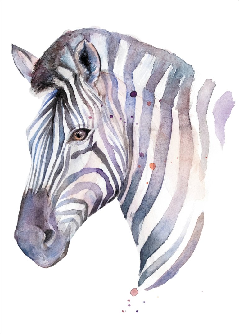ZintenZ - Zebra