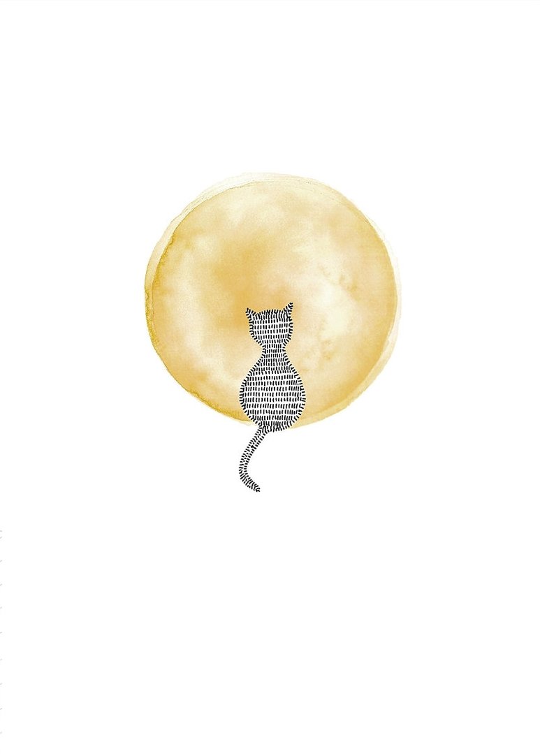 Katze im Mond