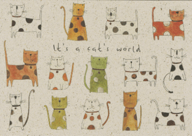 It's a cats world