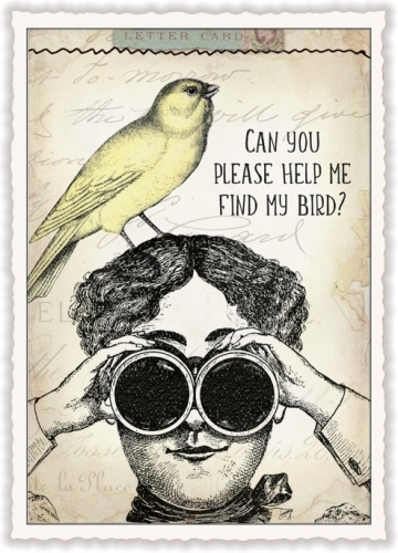 Tausendschön 1094 - "Can you please help me find my bird?"