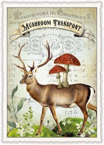 Tausendschön 1095 - "Mushroom Transport"